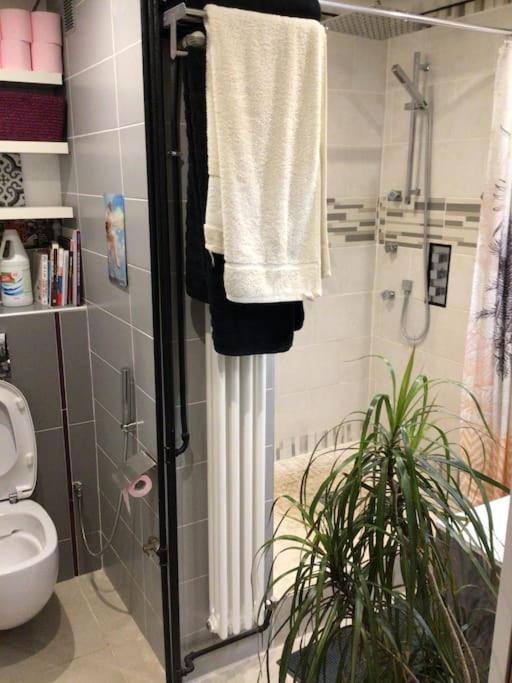 Proche De Paris 25Mintout Equipe, 2 Chambres 康弗兰斯·圣荷诺 外观 照片